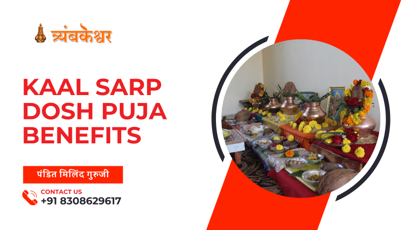 Kaal Sarp Dosh Puja Benefits