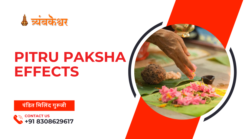 Pitru Paksha Effects
