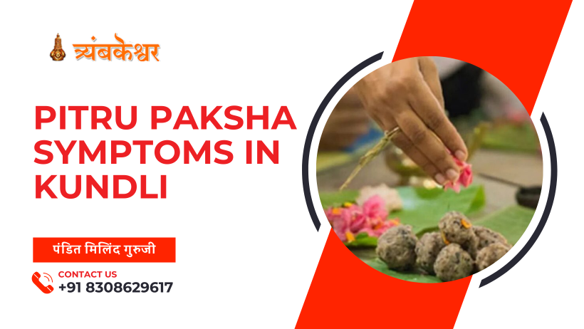 Pitru Paksha Symptoms in Kundli