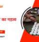 पितृ पक्ष का महत्व