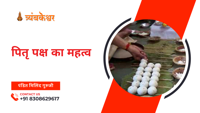 पितृ पक्ष का महत्व