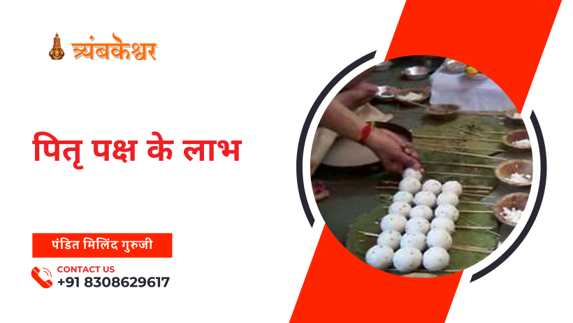 पितृ पक्ष के लाभ