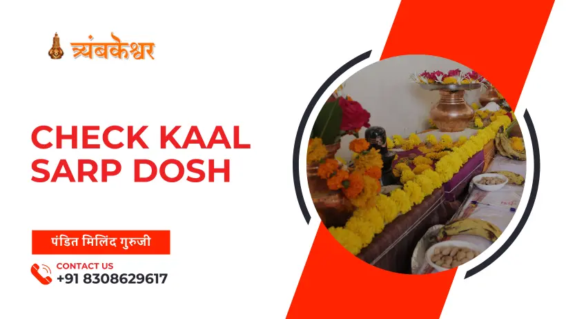 Check kaal sarp dosh