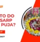 How to do kaal sarp dosh puja